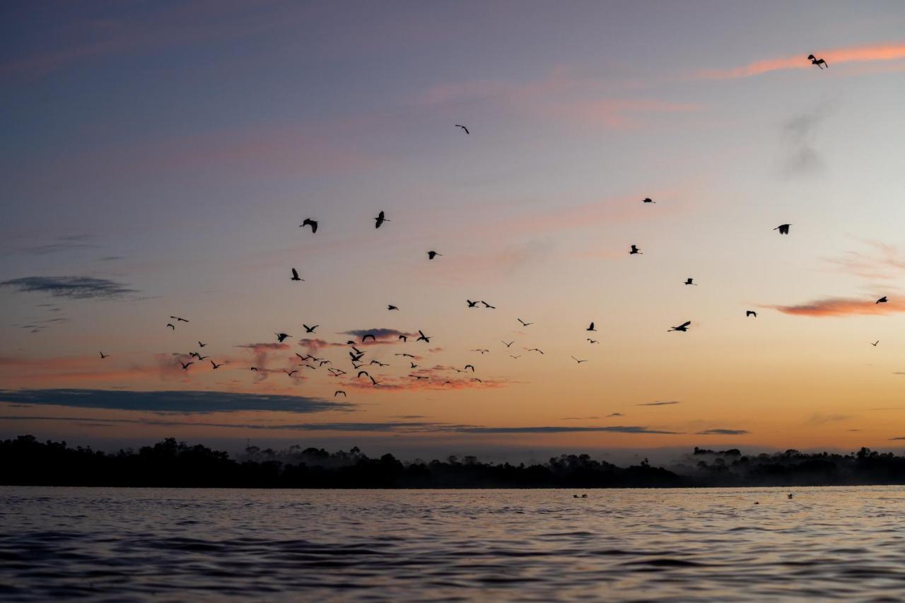 Aemak Iquitos Ecolodge Santa Clara Екстериор снимка